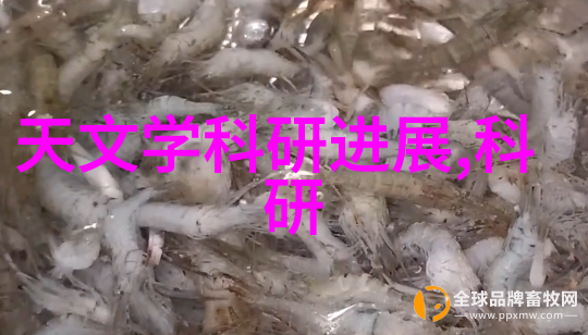 养鱼池中不可或缺的测量工具入门指南