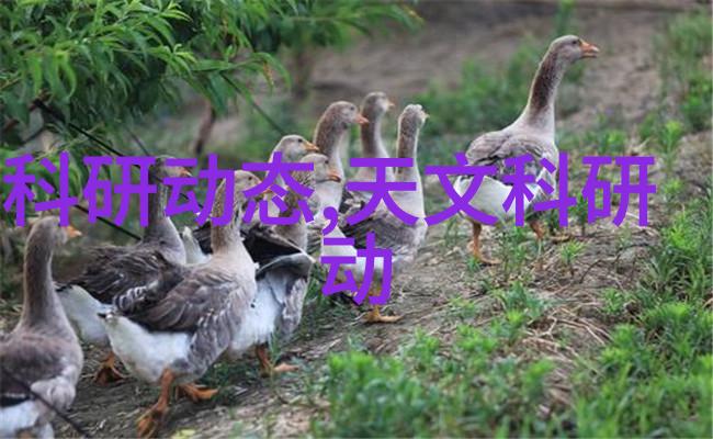 灭火器操作小贴士安全使用的小技巧