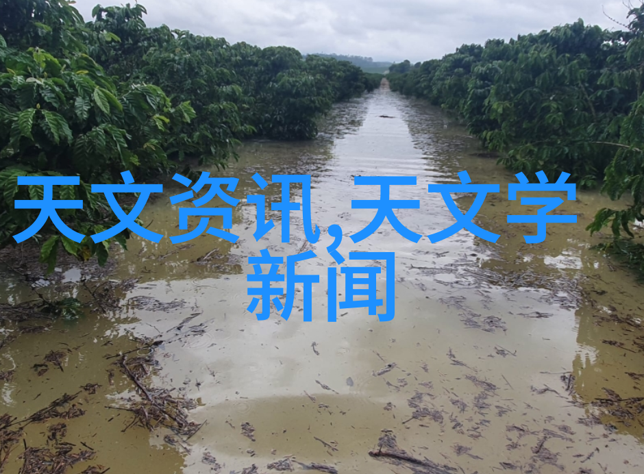 化工原料是制造各种工业产品和日常生活用品的基础材料化学合成制药生产纺织染整塑料加工等多个领域的关键组