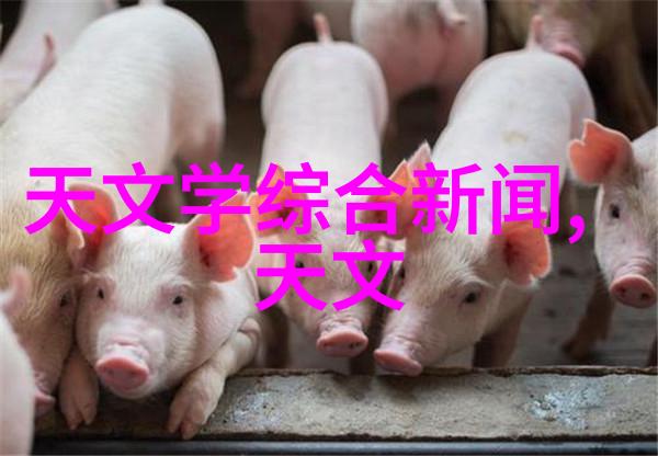 蓝色经济实践创新思维在制造高性能废水处理设备中的角色