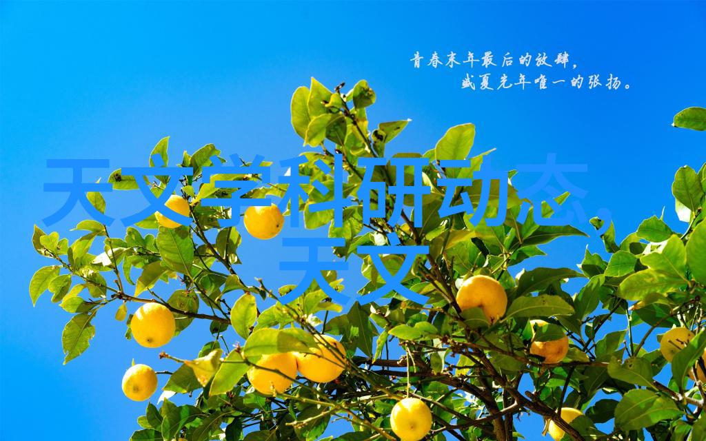 螺旋式输送机我的小秘密帮手