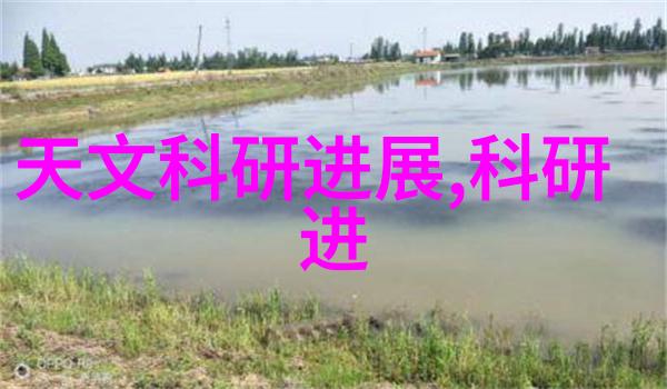 开心四房播播电影温馨家庭生活的喜悦