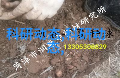 财经郎眼股市风云变幻中的智慧捕手