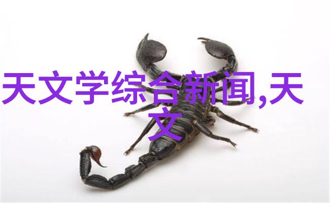 个人专利申请指南从概念到保护的全过程