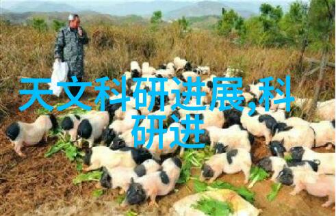 天文学家利用LAMOST数据证实银河系结构中存在富金属晕和高速厚盘揭示天文科研进展新发现