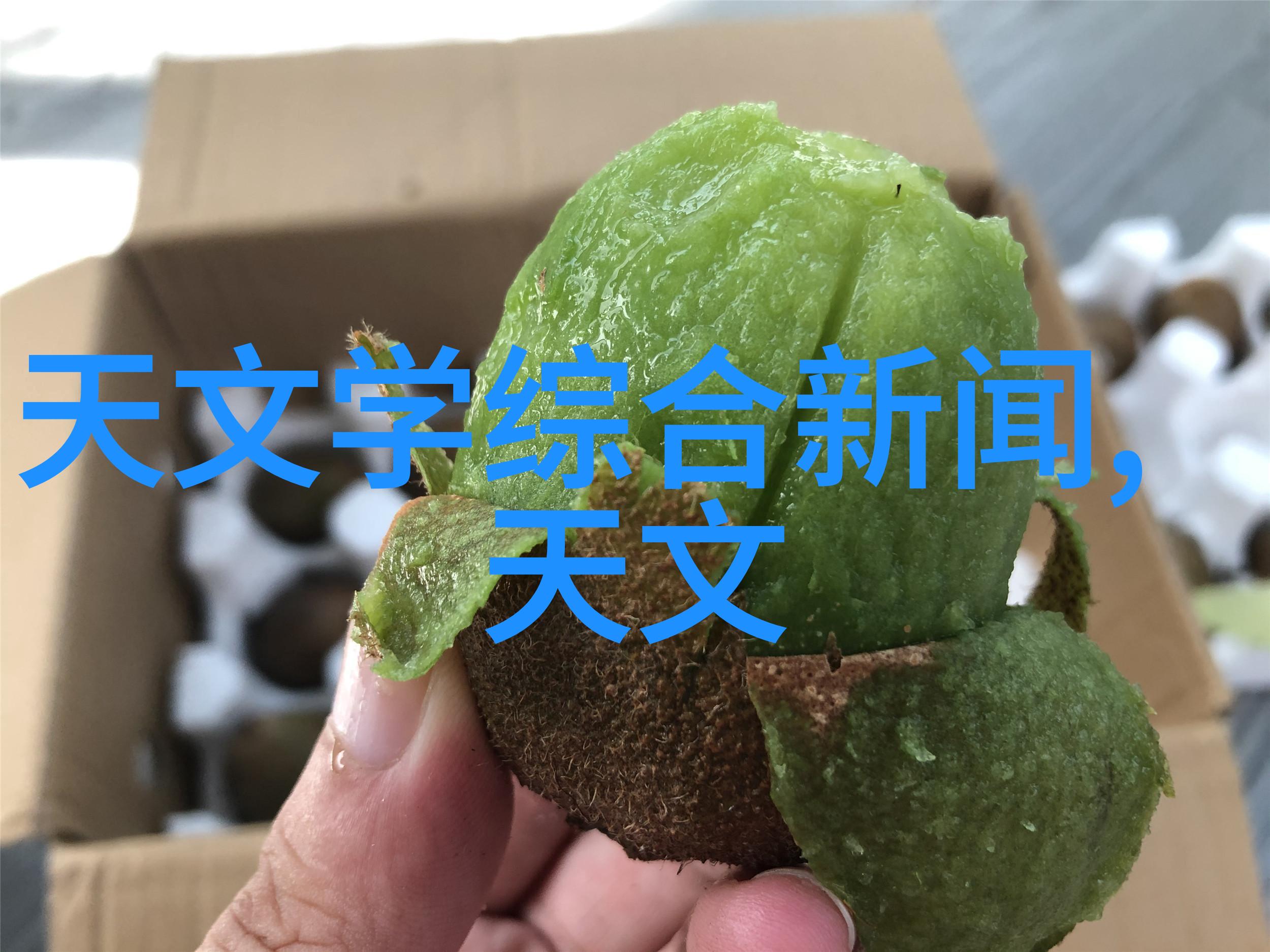上海医药股票我眼中的健康投资宝藏