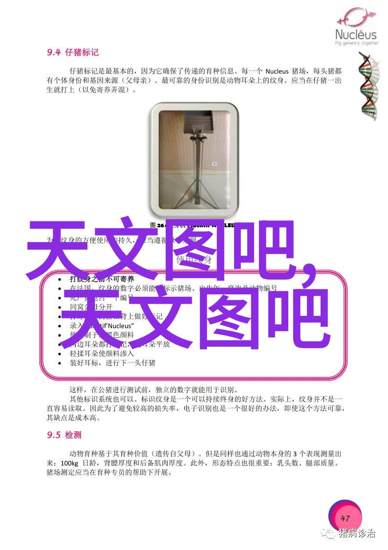 污水处理一体化设备高效环保的城市生活必备设施
