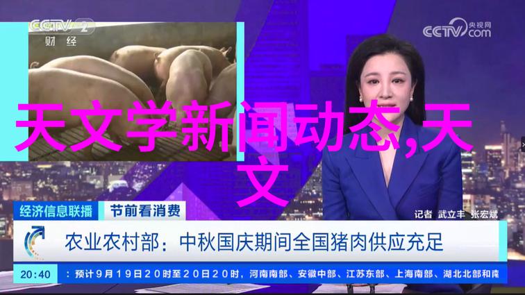 职场新星的腾飞从实习生到团队领袖的奋斗史