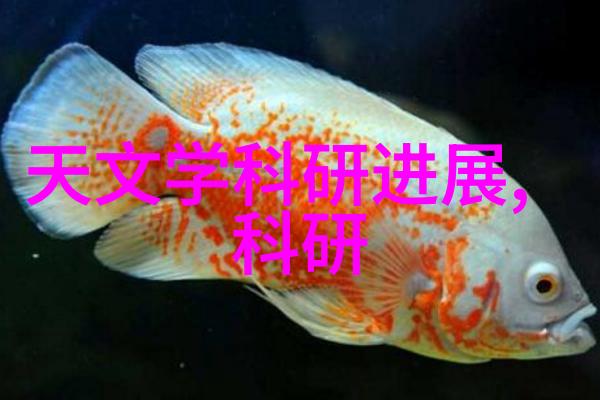 成都不锈钢生产厂家反复呈现不锈钢晾鞋架的精致与实用
