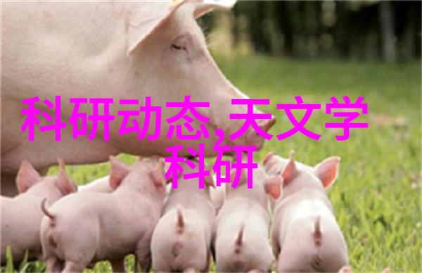 疯狂的公交车后座细节我的知乎探索