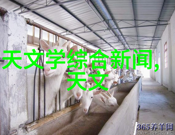 我和我的绝对波纹斜板填料小冒险