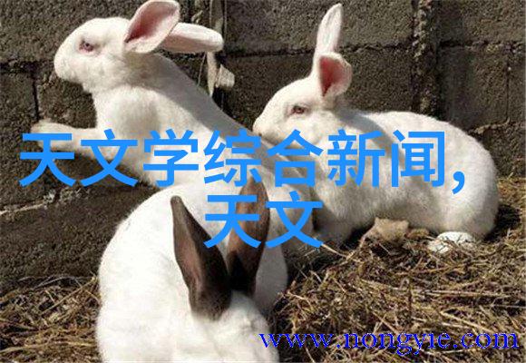 2022年中国智能装备行业最新发展现状分析机械臂厂家排名在社会中的应用与影响