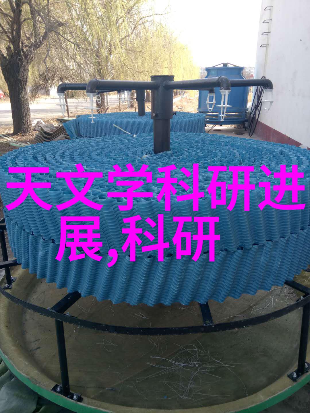 东北财经大学铸就经济学术的北方根基