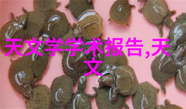 美的微波炉价格蒸立方烤串犹如天籁之音般回荡在耳畔而它的特性详细介绍则是那沉淀于心底的智慧之泉