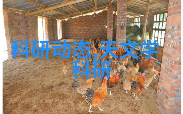 智能制造企业的人力资源管理新理念与实践