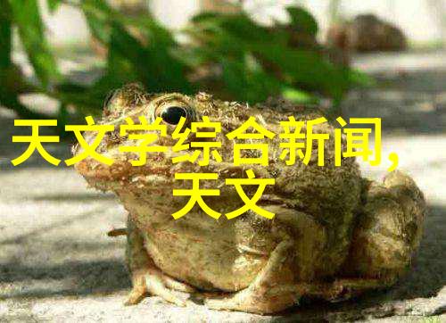 小米新品发布会革新科技改变生活