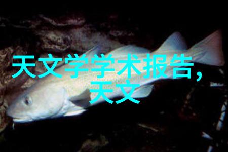 鑫奇厨卫官网引领社会厨房革命美的侧吸油烟机五件套京东疯狂促销