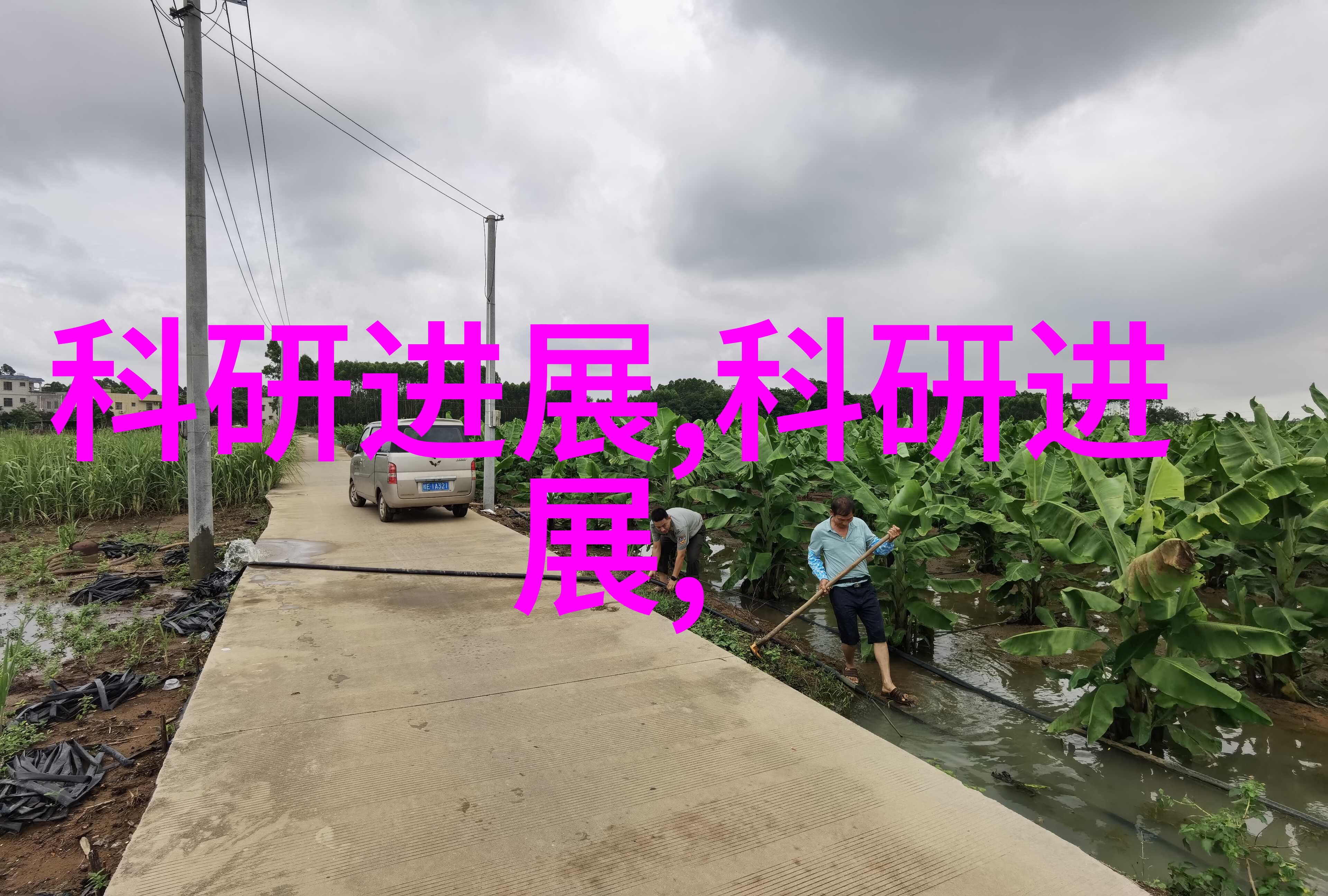 一旦掌握了这项技术未来发展的前景如何展望