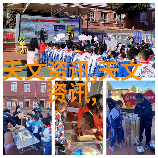 不锈钢填料的种类及其应用概述