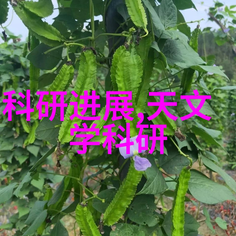 绿色清新环境净化设备的未来发展与应用探索