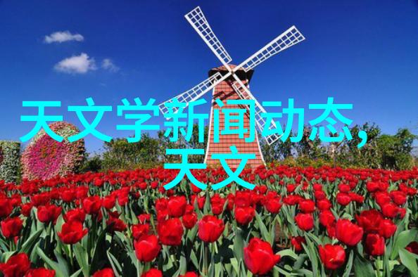 请示之谜揭开报告的真相
