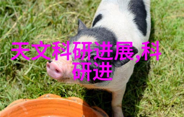 主题 - 丝网填料与波纹填料的优缺点比较分析
