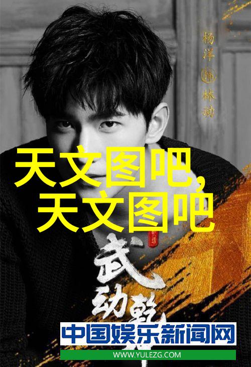 传统与创新并存分析不同地区对市政供水主干线和分支线使用不同的材质偏好