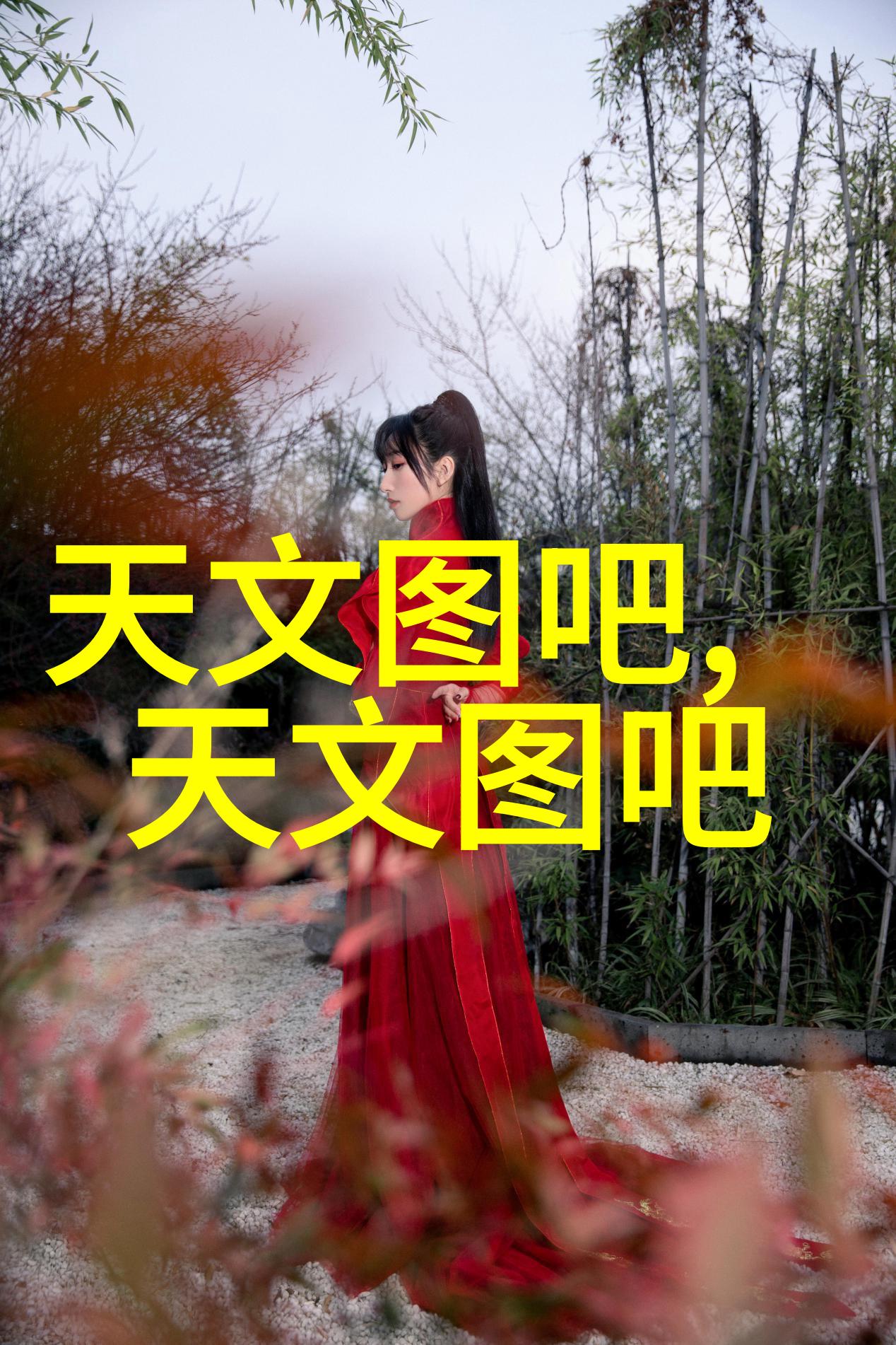 化学实验室的净化守护者探索反应釜清洗的多样技巧