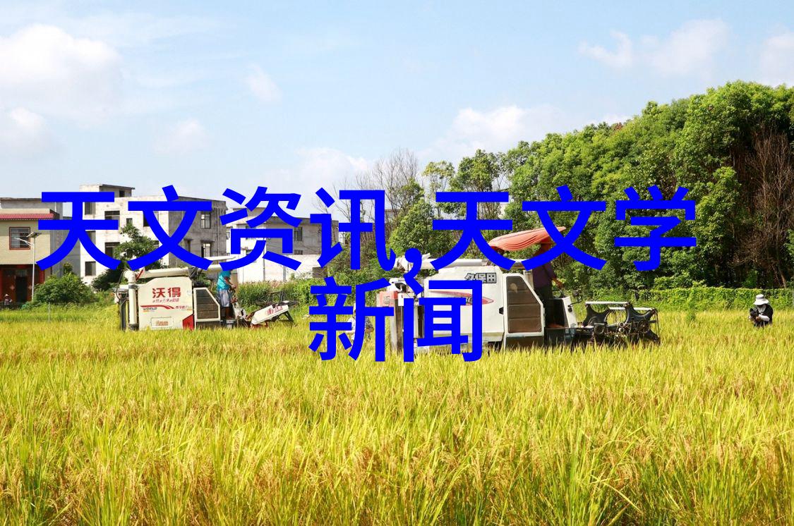如何使用现金流量分析来增强资产评估报告的准确性