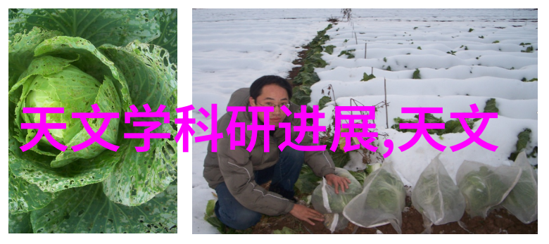 丝网规整填料国家标准解析