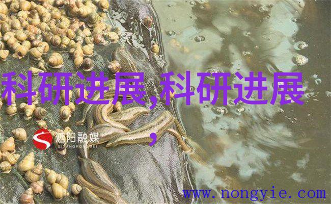 华为芯片最新消息突破性技术与国际市场展望