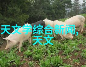 什么因素会影响电加热器的使用寿命