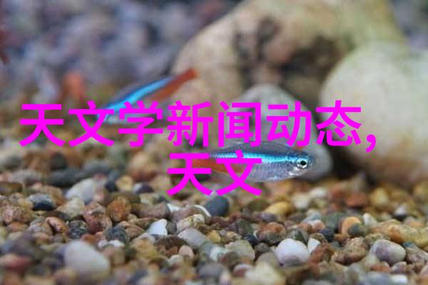 化学实验的舞台反应釜图解解密