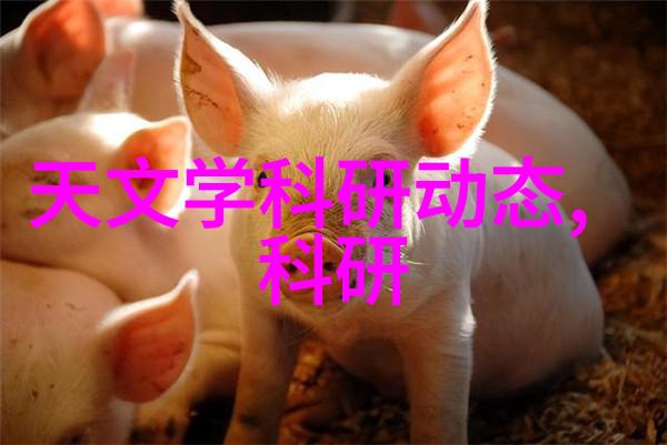 生活用水水质检测价格家庭用水检测费用