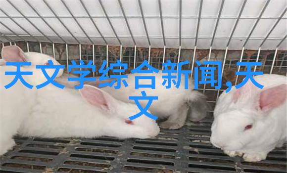 家庭内部人员之间的协调与管理