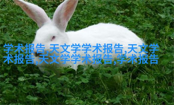 发酵罐