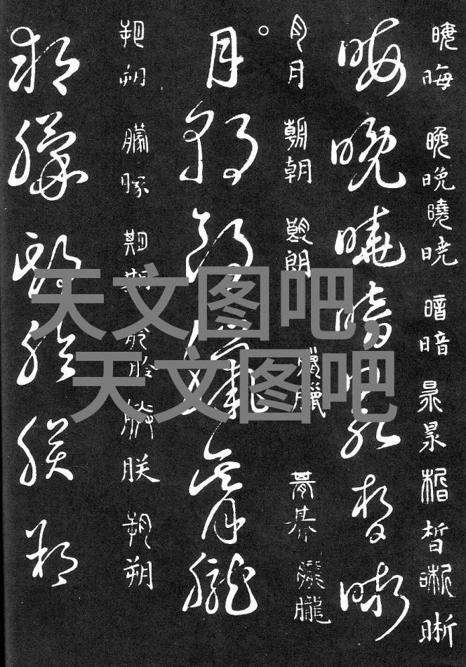 当前全球化背景下国外的高端大型自来水处理技术引入中国面临哪些挑战