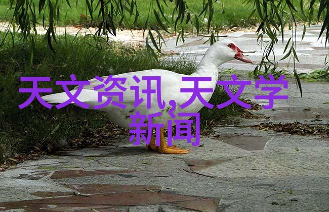 塑料革新颠覆废旧的奇迹机器