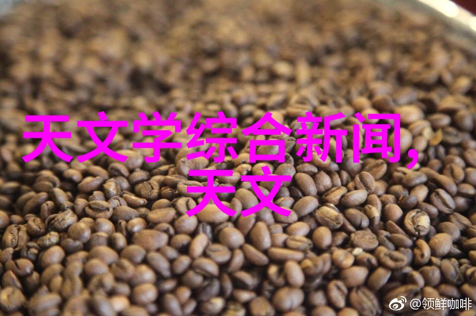 领航未来探索中国最好的芯片公司