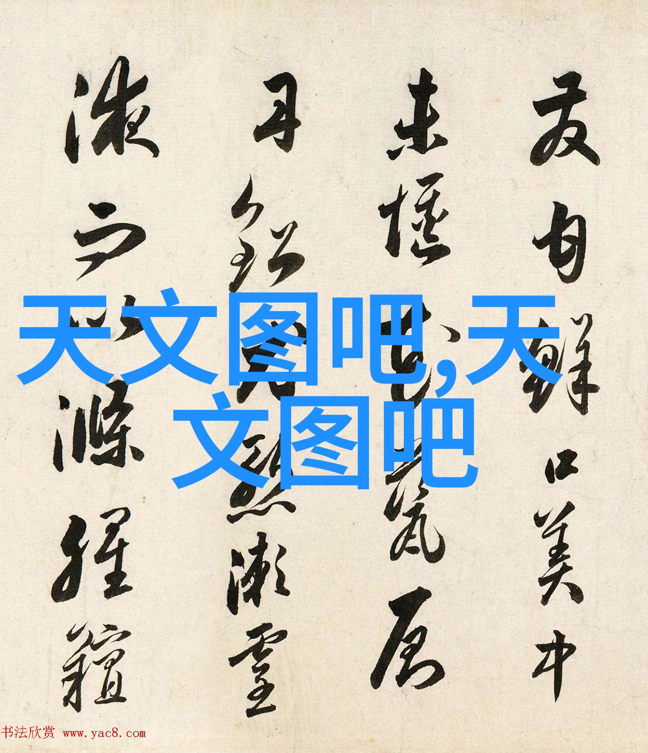 海鲜盛宴揭秘双腿打开的扇贝美食世界