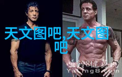 热交换器设计对实验室烤盘效率的影响研究