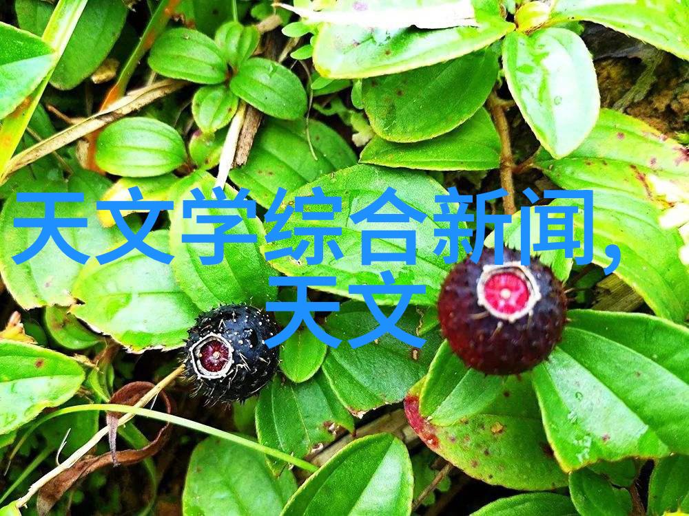 消毒技艺六大法宝清洁环境