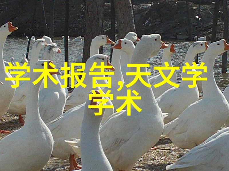 粉碎机之歌破碎与重铸的旋律