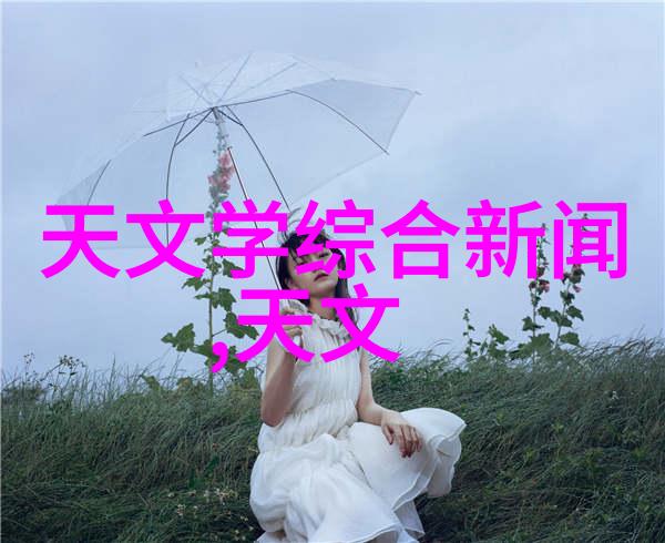 翱翔梦想探索插翅难飞全文阅读的魅力与挑战