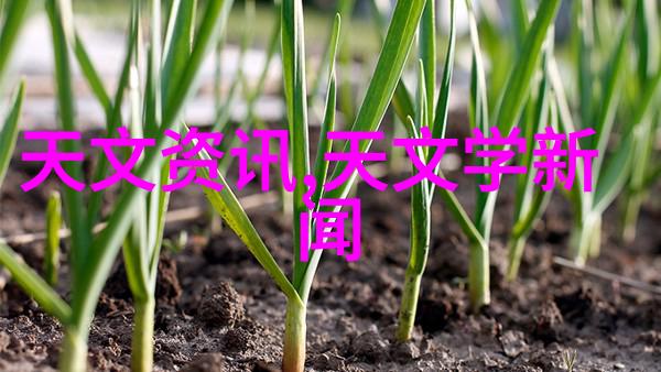 二手分散机设备转让信息从废旧到新生