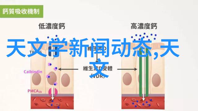 蒸汽灭菌的艺术锅具之王的多样面貌