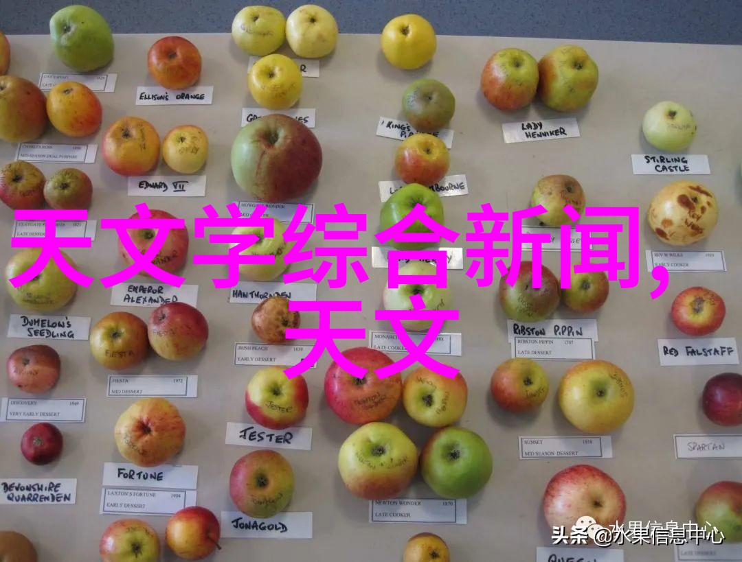 中国石油化工网站我是如何在网上找到了最新的能源信息的