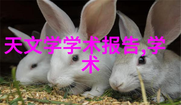 铭记不锈的光辉斜管填料厂家之歌