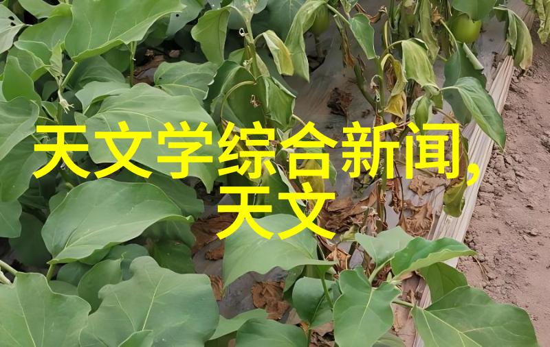 智慧双钥匙开启人才测评的新篇章