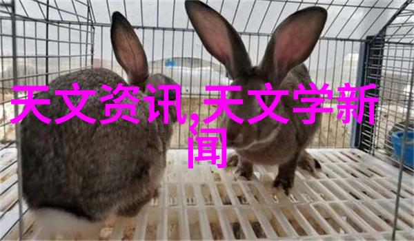 移动式泥石分离机-路上清洁专家移动式泥石分离机的工作奇迹